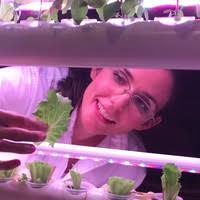 300+ "Bosket" profiles