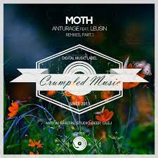 Vin and james everingham : Leusin Music Download Beatport