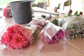 A gift that keeps on giving. Sydney Alicia Spun Sugar