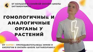 Гомологичные и аналогичные органы у растений porn video on BrownPorn