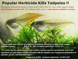 Roundup function rounds the number up that is away from zero. Popular Herbicide Kills Tadpoles Current Application Rates For The Glyphosate Formulation Roundup Are Highly Lethal To Many Amphibian Species Relyea Ppt Download