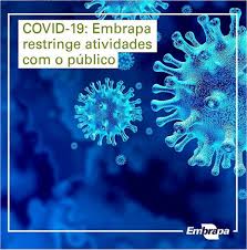 Os coronavírus são um grupo de vírus de genoma de rna simples de sentido positivo (serve diretamente para a síntese proteica), conhecidos desde meados dos anos 1960. Acoes Da Embrapa Para Prevencao Da Covid 19 Esclarecimentos Oficiais Portal Embrapa