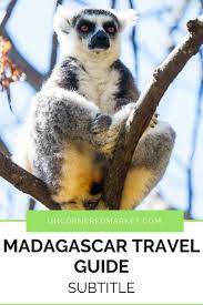 Madagascar Travel Guide With 25 Recommended Things To Do See And Eat What You Need To Know Before You Go Madagascar Travel East Africa Travel Africa Travel