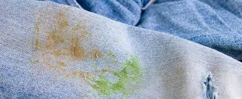 Anleitungen zum gründlichen matratze reinigen und erfolgreichen flecken entfernen. Grasflecken Entfernen Erfahren Sie 5 Mittel Gegen Das Lastige Grun