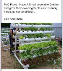 Happy to know that you've started your hydroponic gardening. Pin On Garden