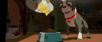 Download our lovely, colourful and beautiful animated birthday animations with greetings for loved ones, relatives, friends and collegues. Food Coma Boston Terrier Gif On Gifer By Dalalas
