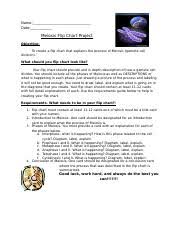 Cell division answer key vocabulary: Meiosis Gizmo Answer Key Activity A