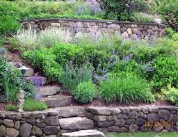 Pin On Garden Plans Slope