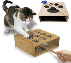 best cat toy ever cat whack a mole valter silva you should build this kedi evi evcil hayvanlar evcil hayvan yataklari