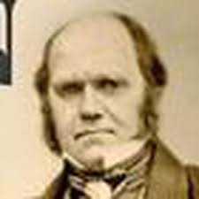 Darwin in New Zealand