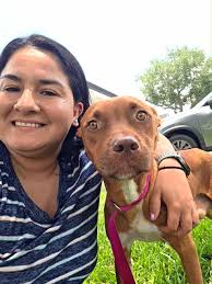 Love And Puppy Paws Dog...