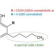 Cannabinoids—Characteristics and Potential for Use in Food ...