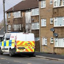 Vanessa brings hope to many a dog's life