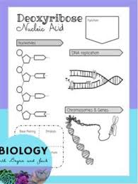 Check spelling or type a new query. Dna Structure Function And Replication Doodle Notes Biology Classroom Doodle Notes Biology Lesson Plans