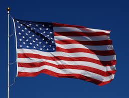 Image result for flag pictures
