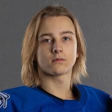 Fond du Lac Springs Ledgers