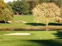 Delaware Senior Four-Ball Championship