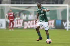 Patrick de paula carreiro profile), team pages (e.g. Brazilian Media Report Inter Marseille Atletico Madrid Interested In Palmeiras Patrick De Paula