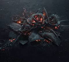 You can see the formats on the top of each image, png, psd, eps or ai, which can help you directly download the free resources you want by clicking the. Rose Black Flower Hd Wallpaper Peakpx