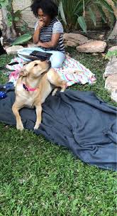 Maybe you would like to learn more about one of these? Jerusalem District Pet Daycare Prices Reviews Petbacker