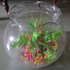 Berikut ini ada beberapa macam bentuk jenis aquarium mini bulat dengan desain unik dan cantik yang dapat. Jual Fish Bowl 7 Liter Shella Aquarium Bulat 7l Toples Ikan Undian Akuarium Makassar Hobi