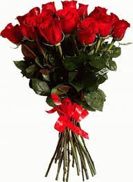 Two centuries of romance and tradition flower meanings and flower sentiments. Rose Gifs Tenor