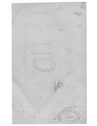 Image result for Diospyros loureiriana