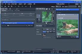 Zen 2011 Blue Edition Download Create Impressive Multichannel And Time Lapse Images