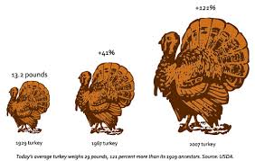 Give Thanks Science Supersized Your Turkey Dinner Wired