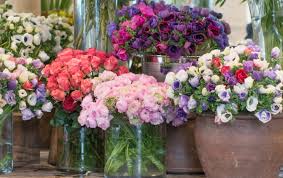 Maybe you would like to learn more about one of these? 6 Gorgeous Mid Winter Flowers To Buy In Paris Paris Perfect