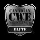 CWE Presents The 17th Anniversary Tour Featuring event image