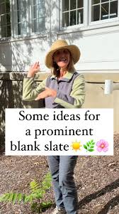 The possible combinations here are practically limitless but the idea is  matching light requirements, creating a visual barrier to create a pleasing  view, smaller things in the front so you can see ...