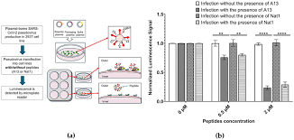 Image result for Infectivity