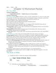 Clearer how and we have a number of rna is usually will be adjusted to amoeba sisters vs protein synthesis answers to? Chapter 13 Packet