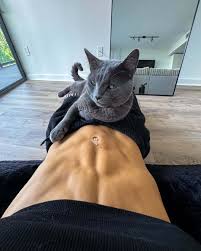 Carla Leclercq  new  funny posts, pictures and gifs on JoyReactor