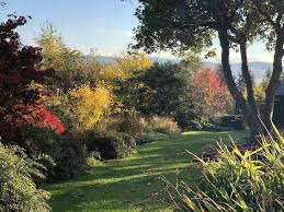 You've got to get yourself back there are things you can grow, and springtime preparations to make. How To Make The Most Of Your Garden This Winter Outside In