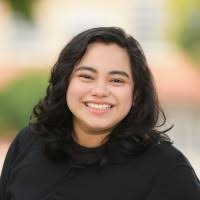 300+ "Pollinger" profiles