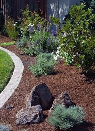 Pin On Jardines Deserticos