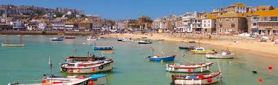 Seagrasses are the only flowering plants which grow in marine environments. Where To Eat St Ives St Ives Self Catering Cottages