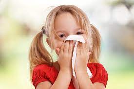 Allergic Rhinitis Hay Fever Lack