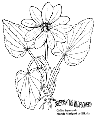 Marigold coloring pages are a fun way for kids of all ages to develop creativity, focus, motor skills and color recognition. Flowers Flowers Free Coloring Pages For Children