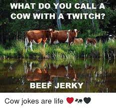 What do you call benny the bull when he falls asleep? What Do You Call A Cow With A Twitch Beef Jerky Cow Jokes Are Life Beef Meme On Me Me