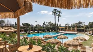 Image result for Melia