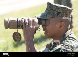 Angelo falcon hi-res stock photography and images