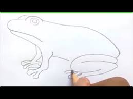 Gambar Sketsa Katak Yang Mudah Tutorial Simple Menggambar Katak Atau Kodok Kumpulan Gambar Hewan Untuk Anak Anak Tk Paud Belaja Di 2020 Sketsa Gambar Cara Menggambar