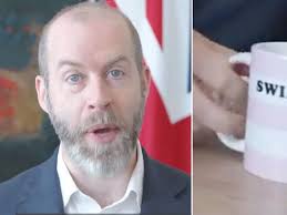 Government makes 'cringe' Taylor Swift announcement