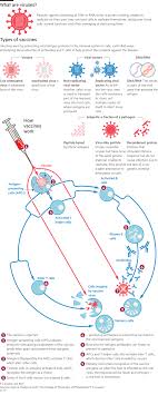 A vaccine works by imitating a real infection. How Close Is A Coronavirus Vaccine Free To Read Financial Times