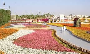 Yanbu Flower And Garden Festival Garden Flowers Nature View