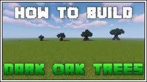 Dark Oak – Minecraft Wiki