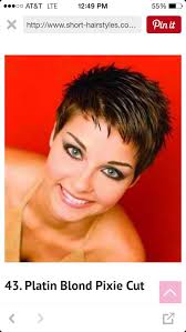 lesley stephens (49purpleflower)